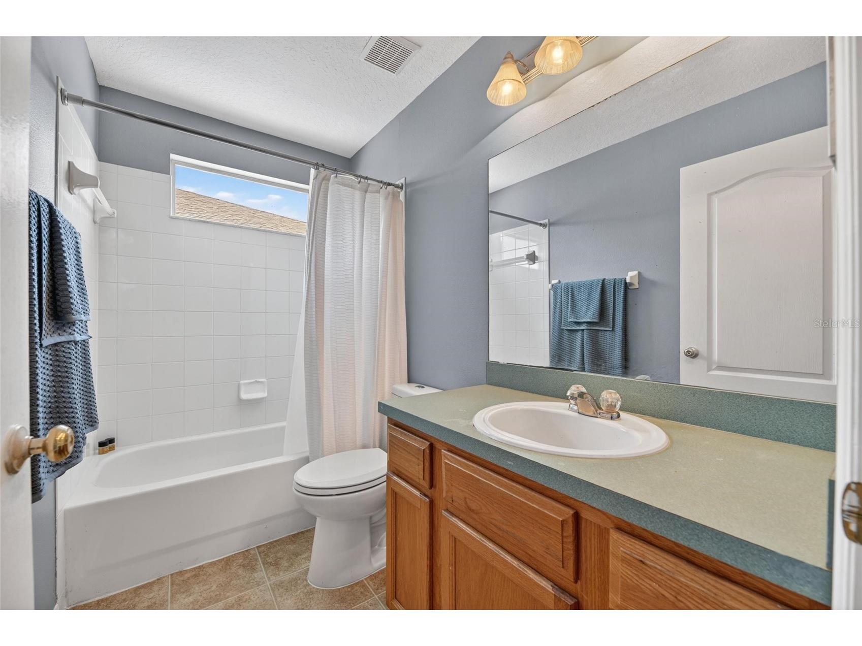 11207 Village Brook Drive Riverview FL 33579 TB8509309 image32