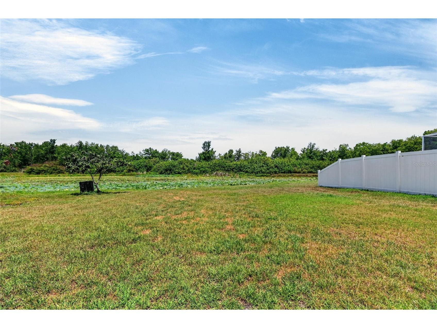 11207 Village Brook Drive Riverview FL 33579 TB8509309 image37