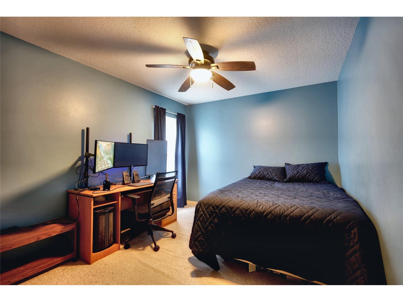 11208 Haskell Drive Clermont FL 34711 O6421402 image17