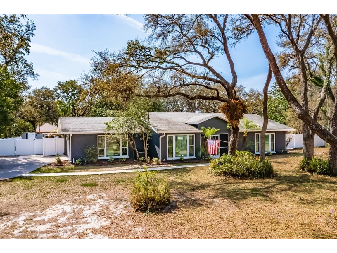 11208 Leprechaun Drive Riverview FL 33569 T3444707 image1