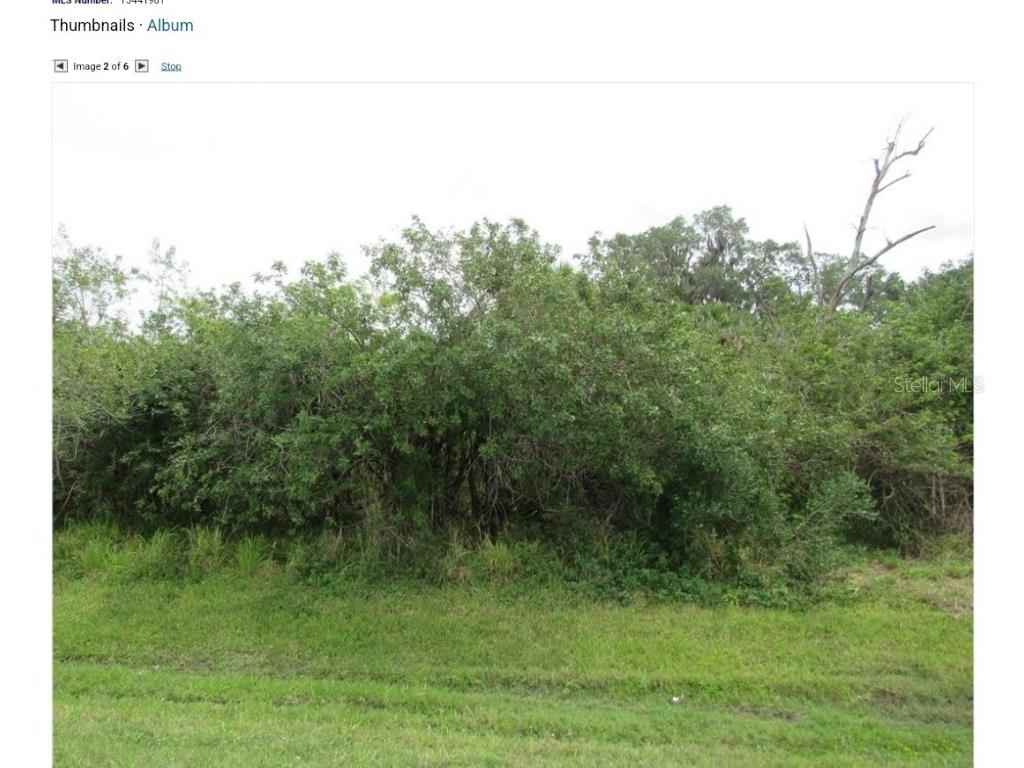 11208 Us-41 N Palmetto FL 34221 TB8337502 image1