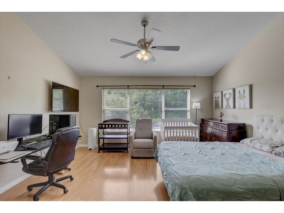 11208 Windsor Place Circle Tampa FL 33626 TB8507775 image17