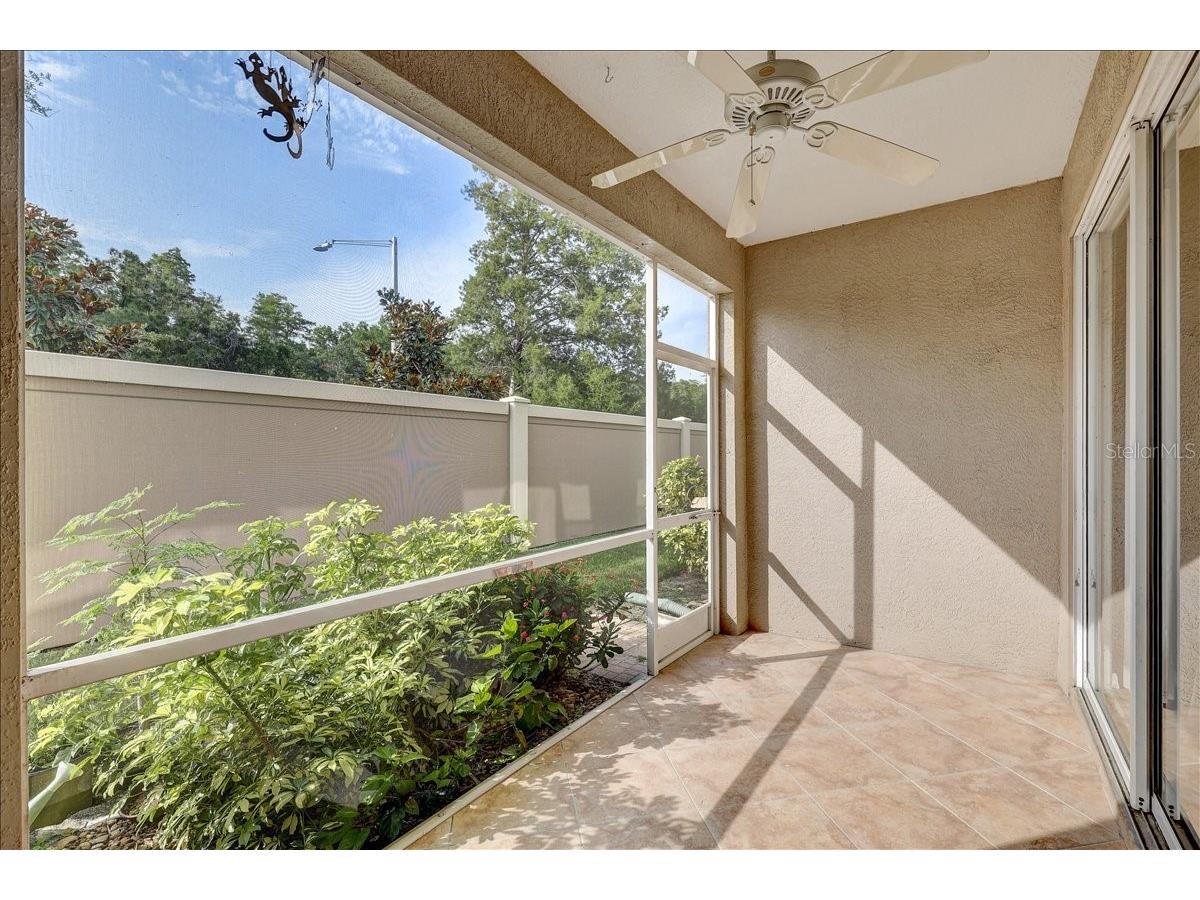 11208 Windsor Place Circle Tampa FL 33626 TB8507775 image27