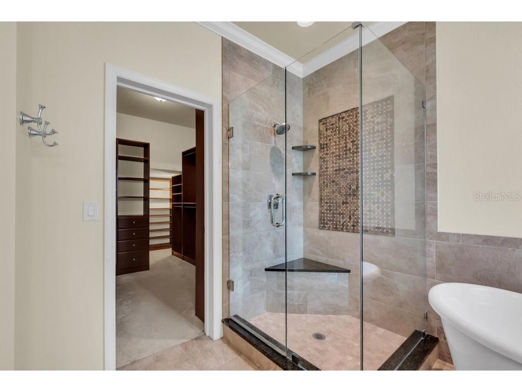 11209 Coventry Grove Circle Lithia FL 33547 TB8426151 image21