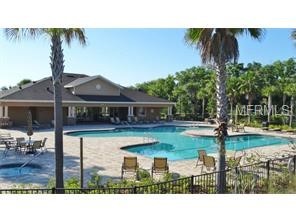 11209 Coventry Grove Circle Lithia FL 33547 TB8426151 image42