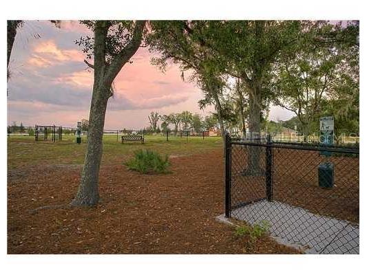 11209 Coventry Grove Circle Lithia FL 33547 TB8426151 image46