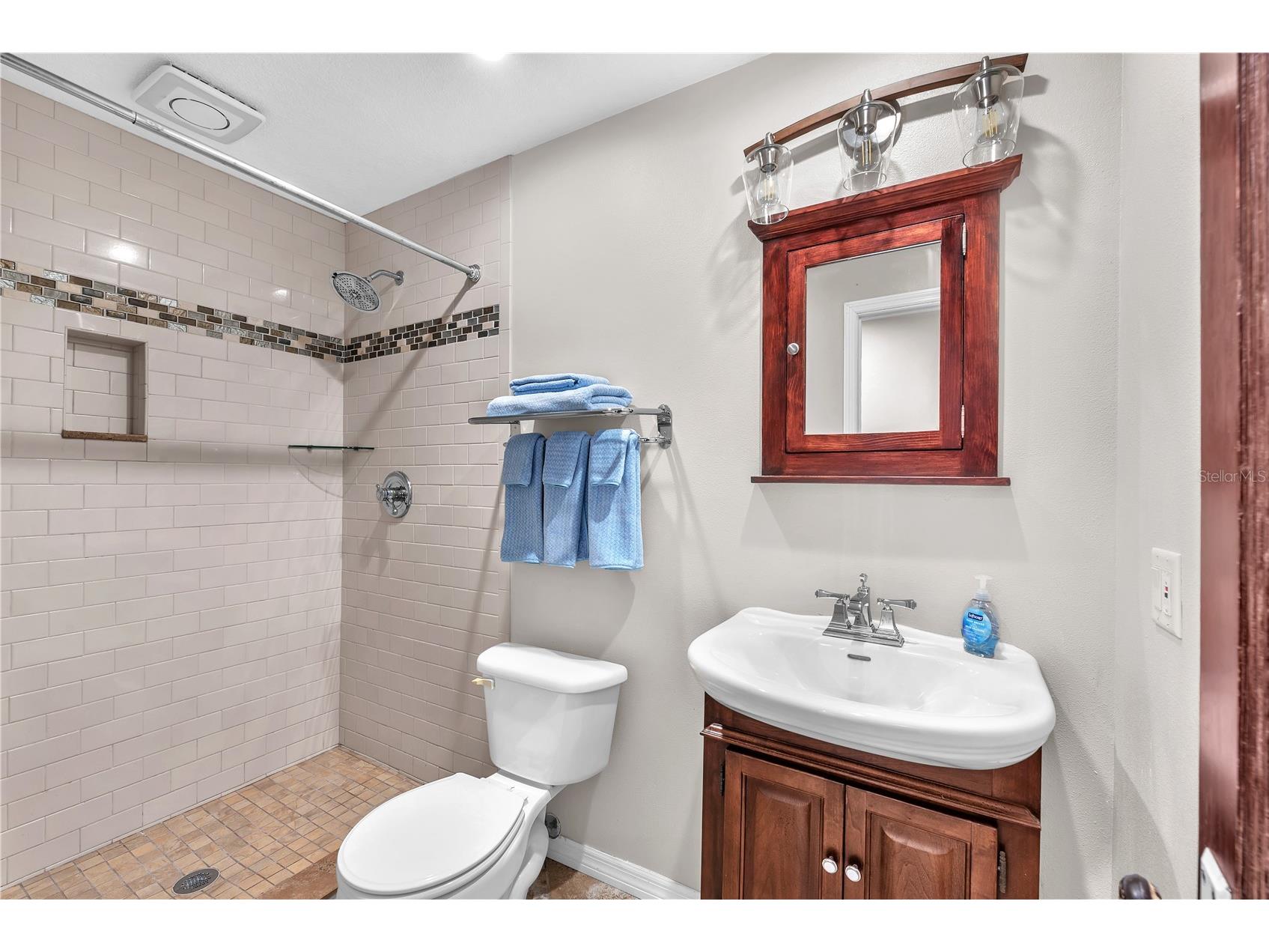 11209 Donneymoor Drive Riverview FL 33569 TB8495081 image23