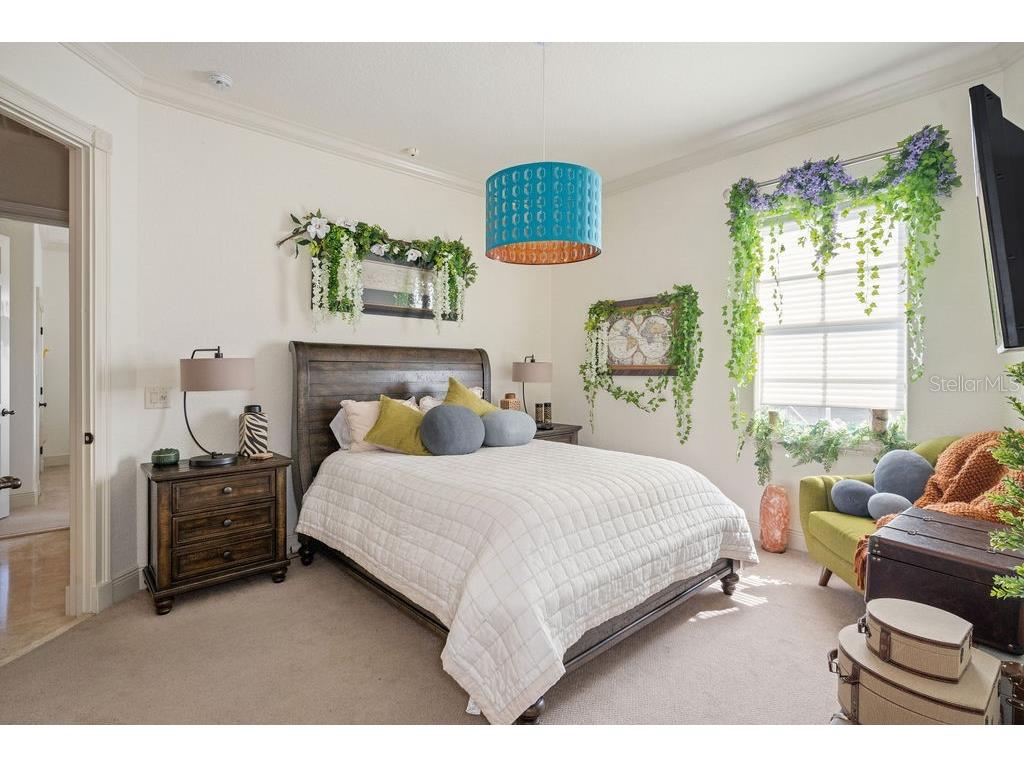 11209 Macaw Court Windermere FL 34786 - LAKE BURDEN O6326947 image39