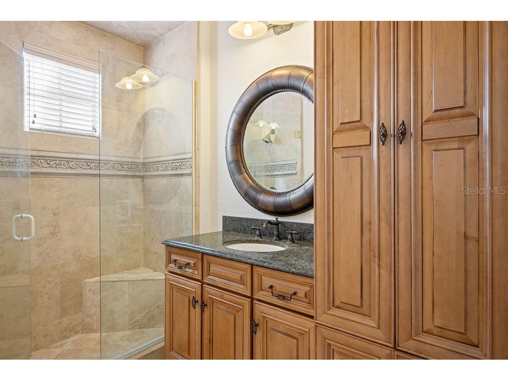 11209 Macaw Court Windermere FL 34786 - LAKE BURDEN O6326947 image40