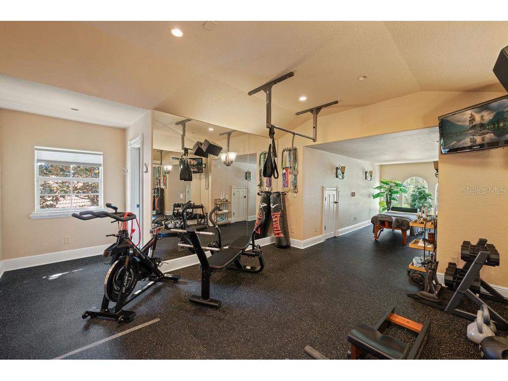 11209 Macaw Court Windermere FL 34786 - LAKE BURDEN O6326947 image41