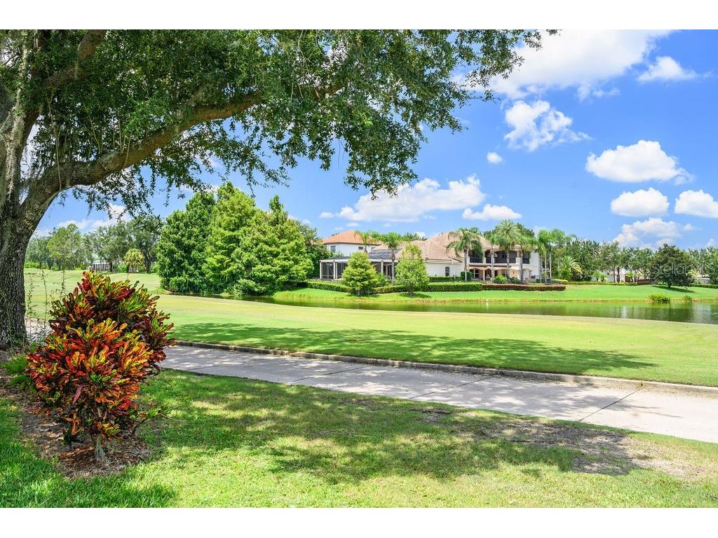 11209 Macaw Court Windermere FL 34786 - LAKE BURDEN O6326947 image44