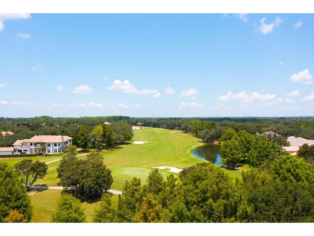 11209 Macaw Court Windermere FL 34786 - LAKE BURDEN O6326947 image47