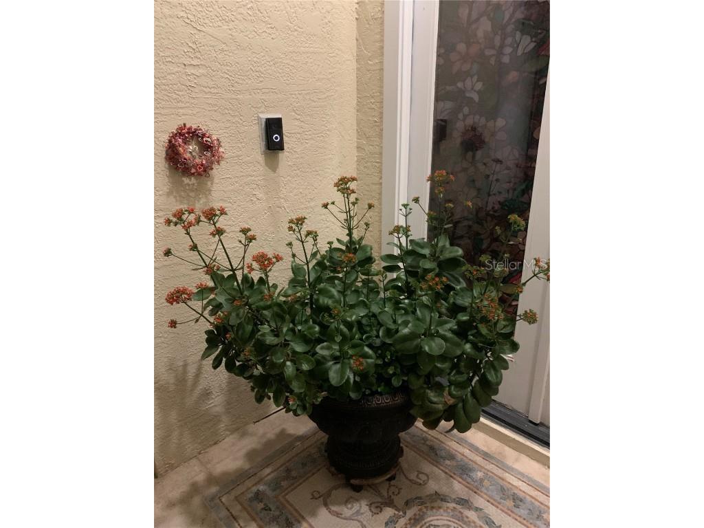 1121 Arbor Glen Circle Winter Springs FL 32708 O6303243 image7