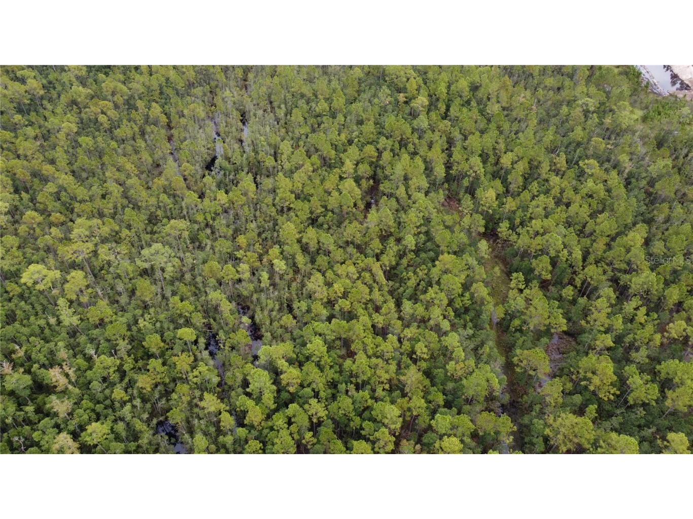 1121 Clark Bay Road Deland FL 32724 O6361818 image38