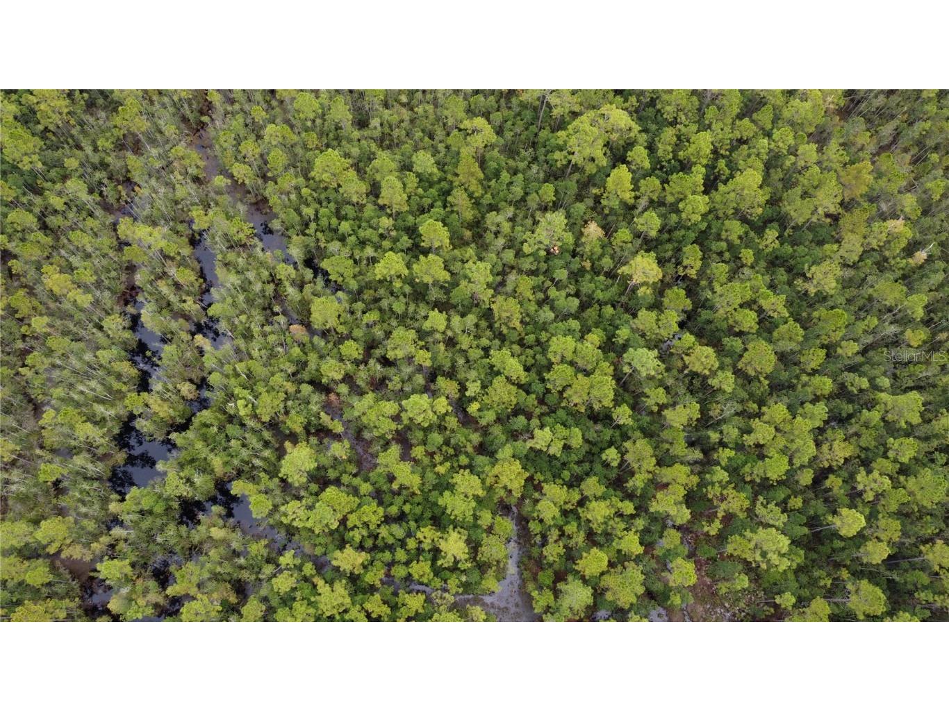 1121 Clark Bay Road Deland FL 32724 O6361818 image39