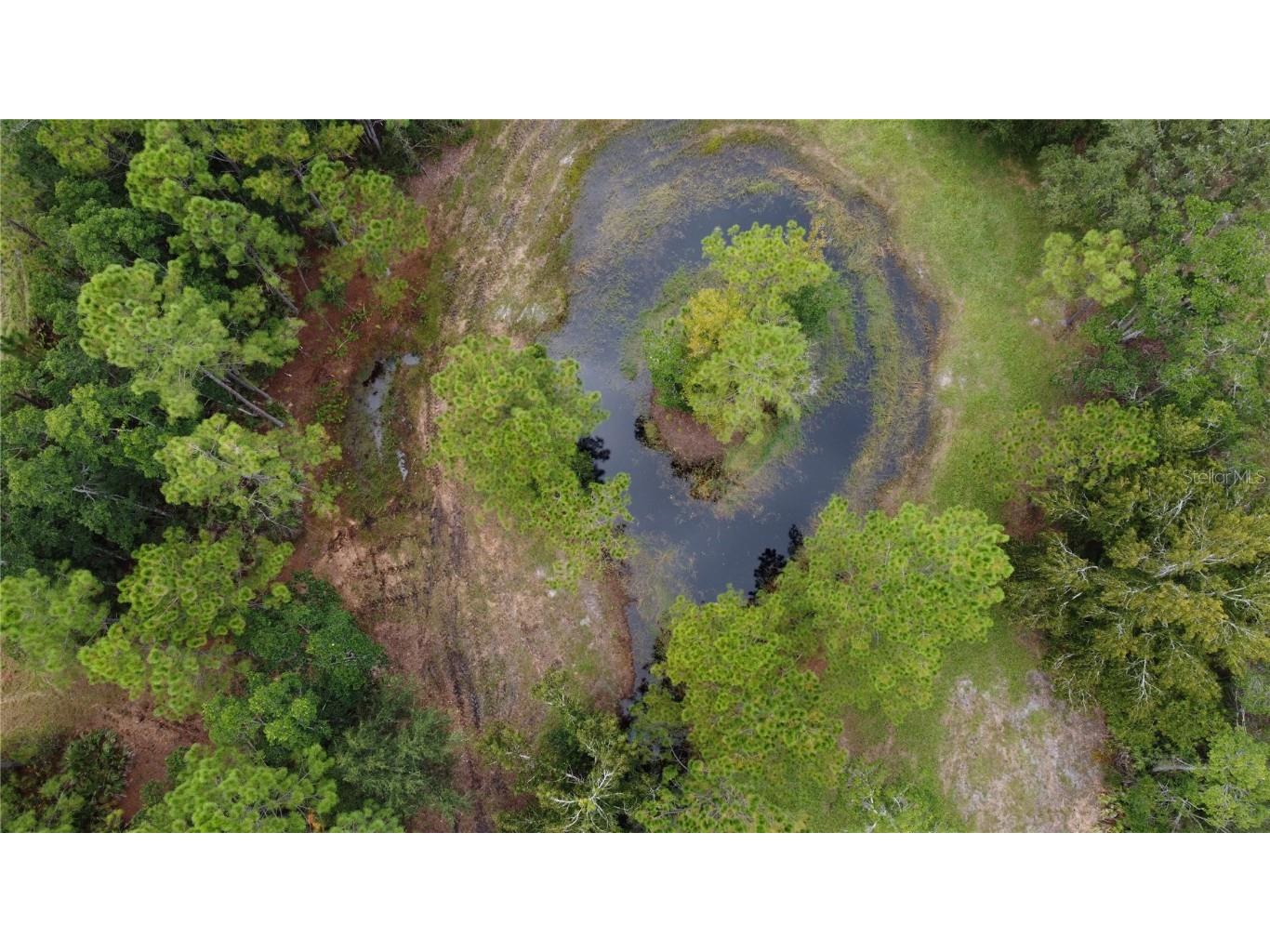 1121 Clark Bay Road Deland FL 32724 O6361818 image6