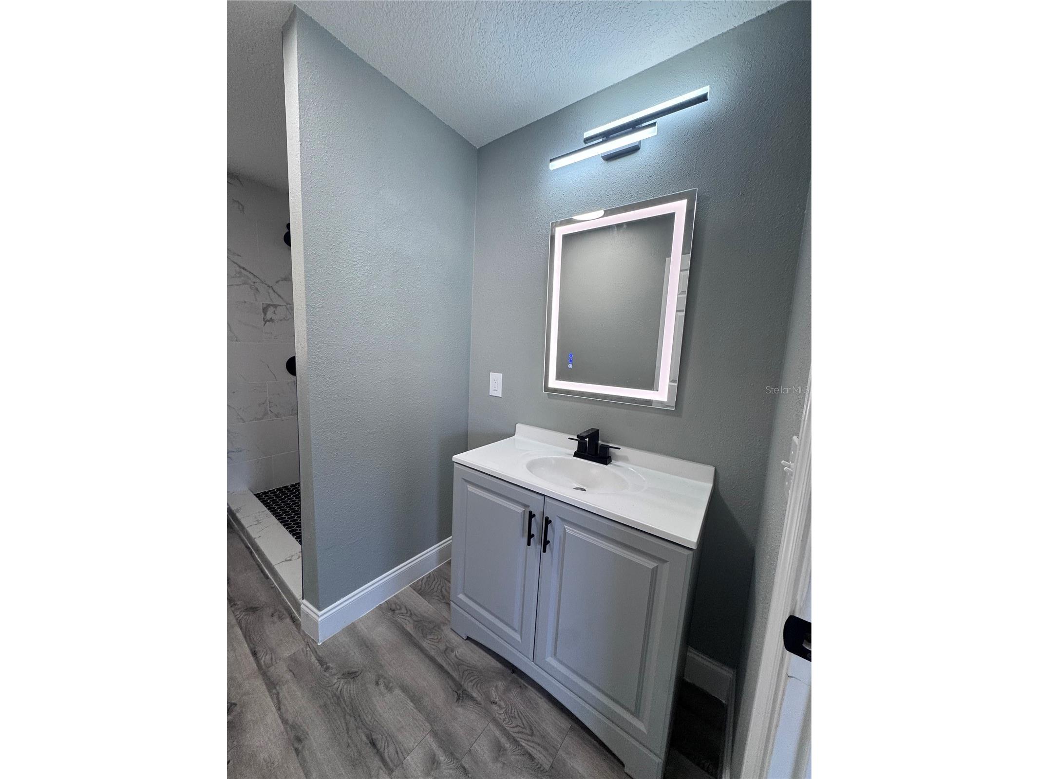 1121 Edith Avenue Lakeland FL 33805 S5145491 image15