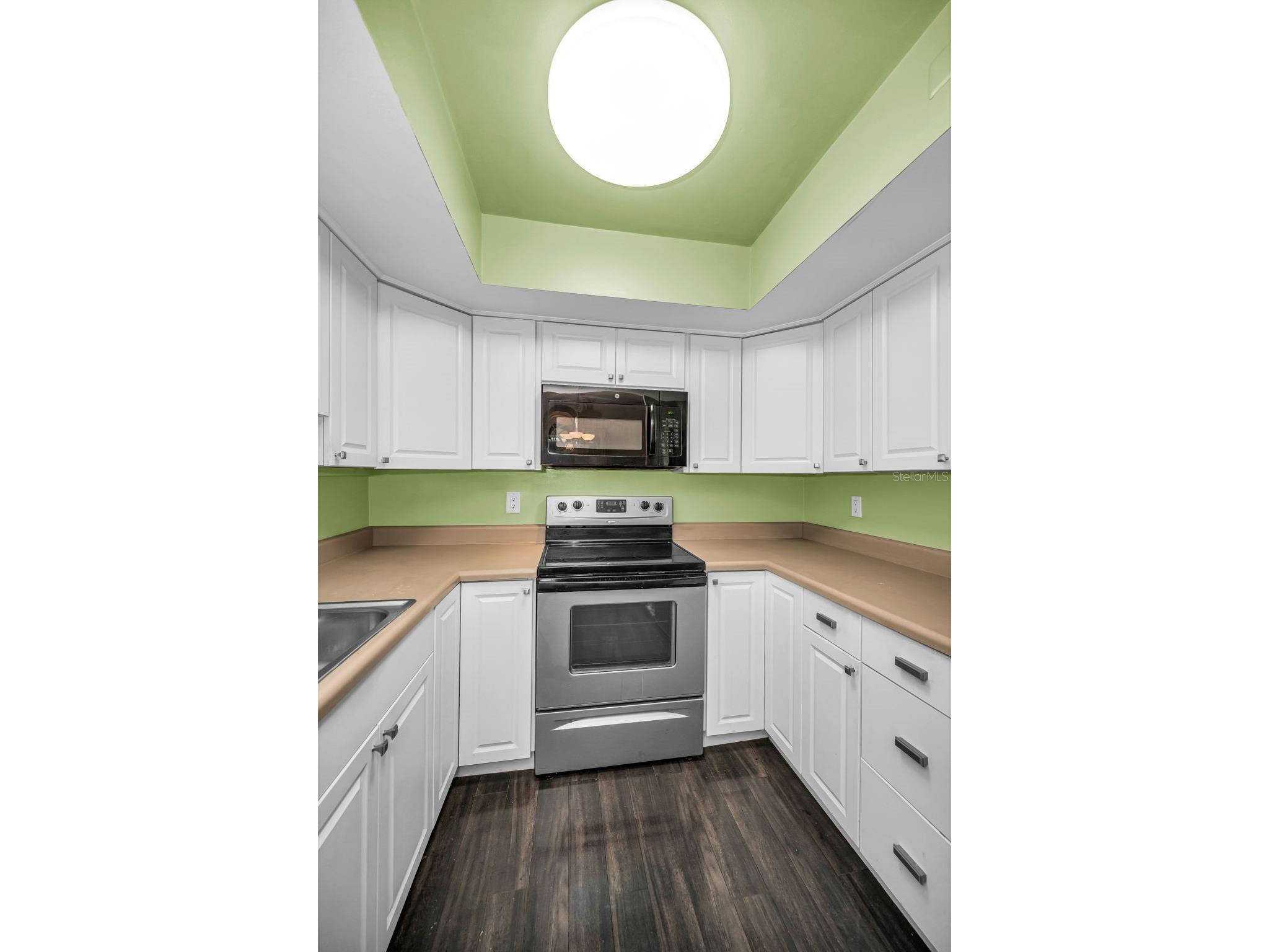 1121 Queen Anne Drive #C Palm Harbor FL 34684 TB8488707 image15