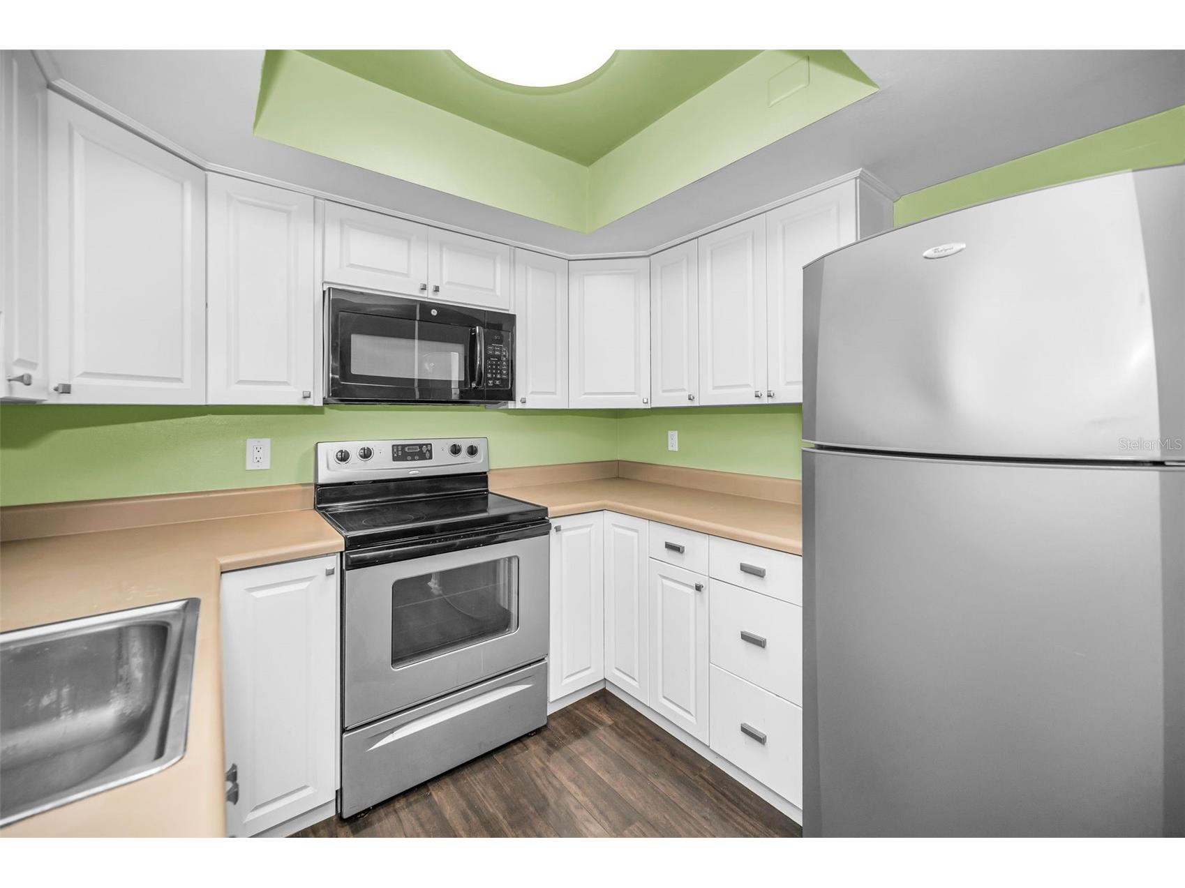 1121 Queen Anne Drive #C Palm Harbor FL 34684 TB8488707 image16