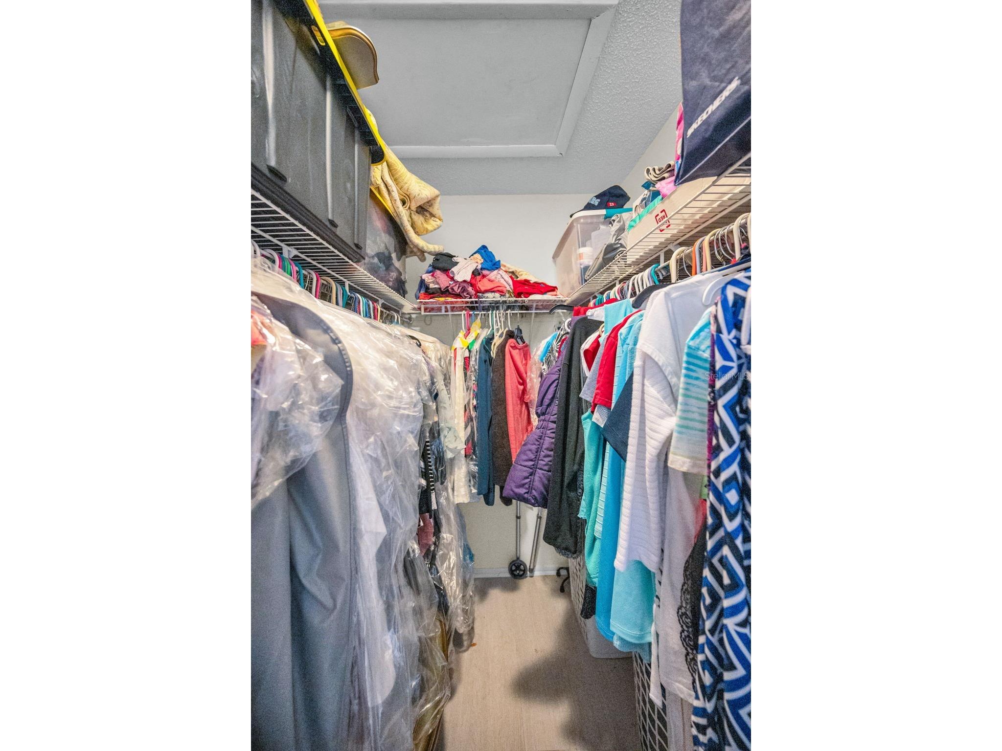 1121 Queen Anne Drive #C Palm Harbor FL 34684 TB8488707 image29