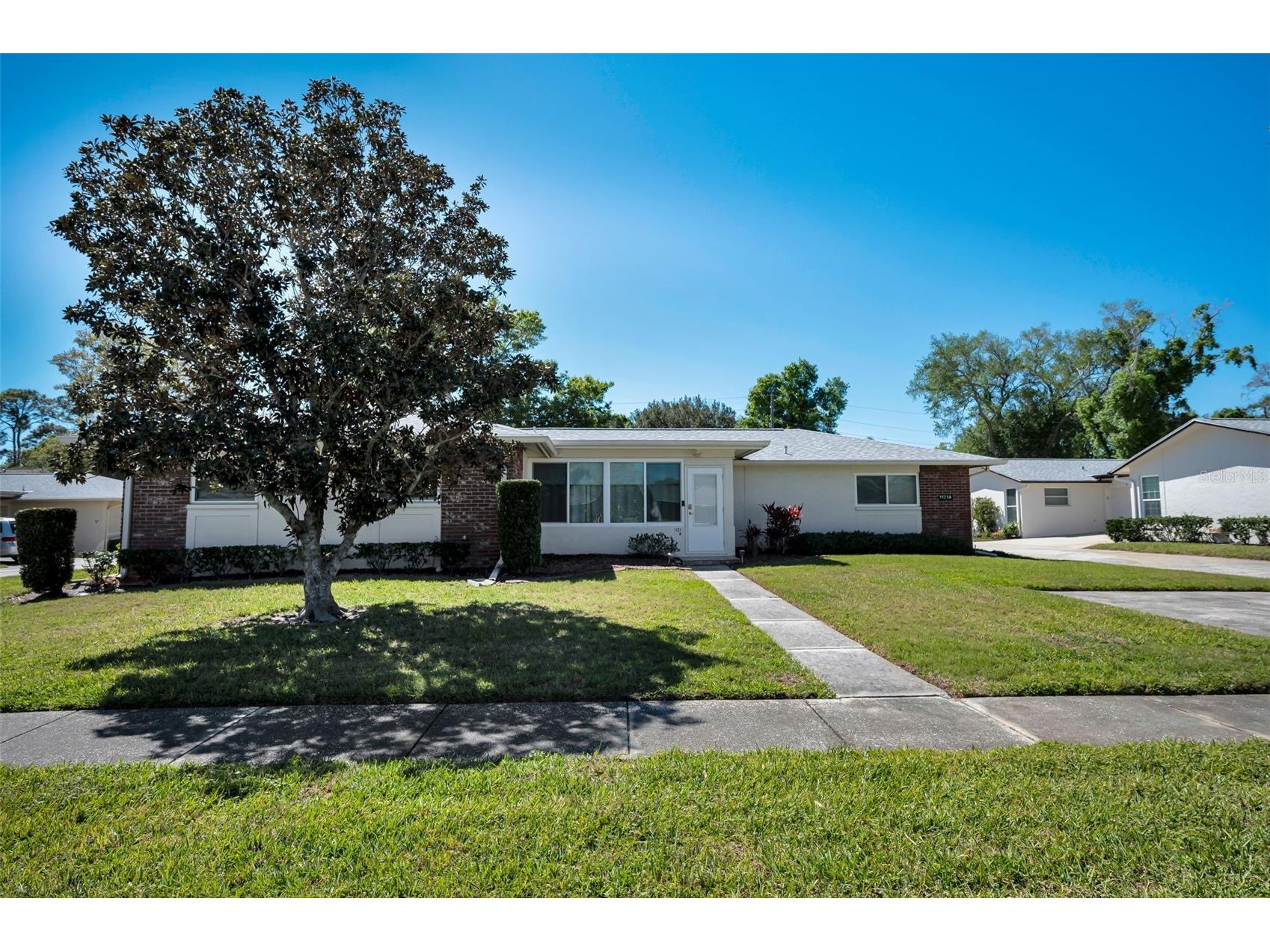 1121 Queen Anne Drive #C Palm Harbor FL 34684 TB8488707 image41