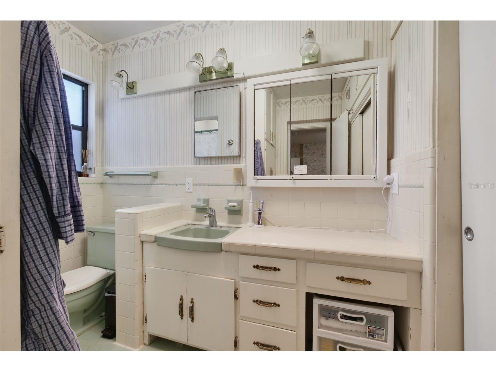 1121 Shorewood Drive Orlando FL 32806 O6423559 image28