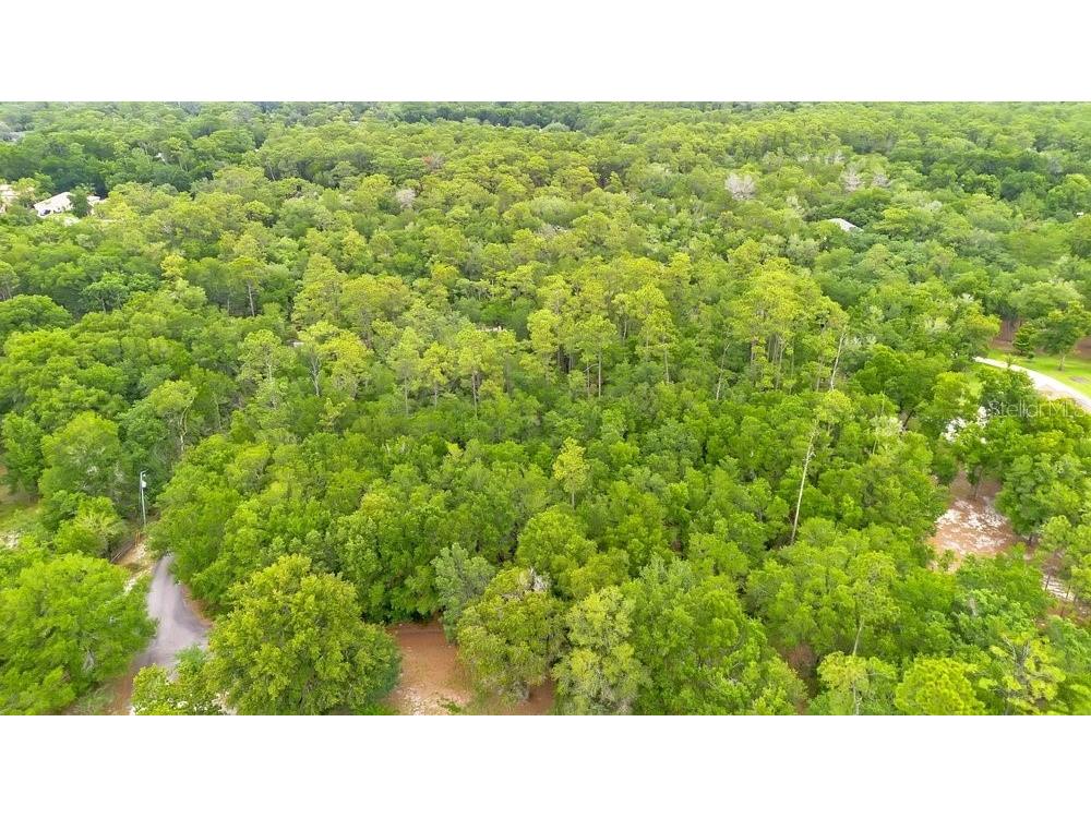 1121 Silver Saddle Trail Deland FL 32724 V4949107 image10