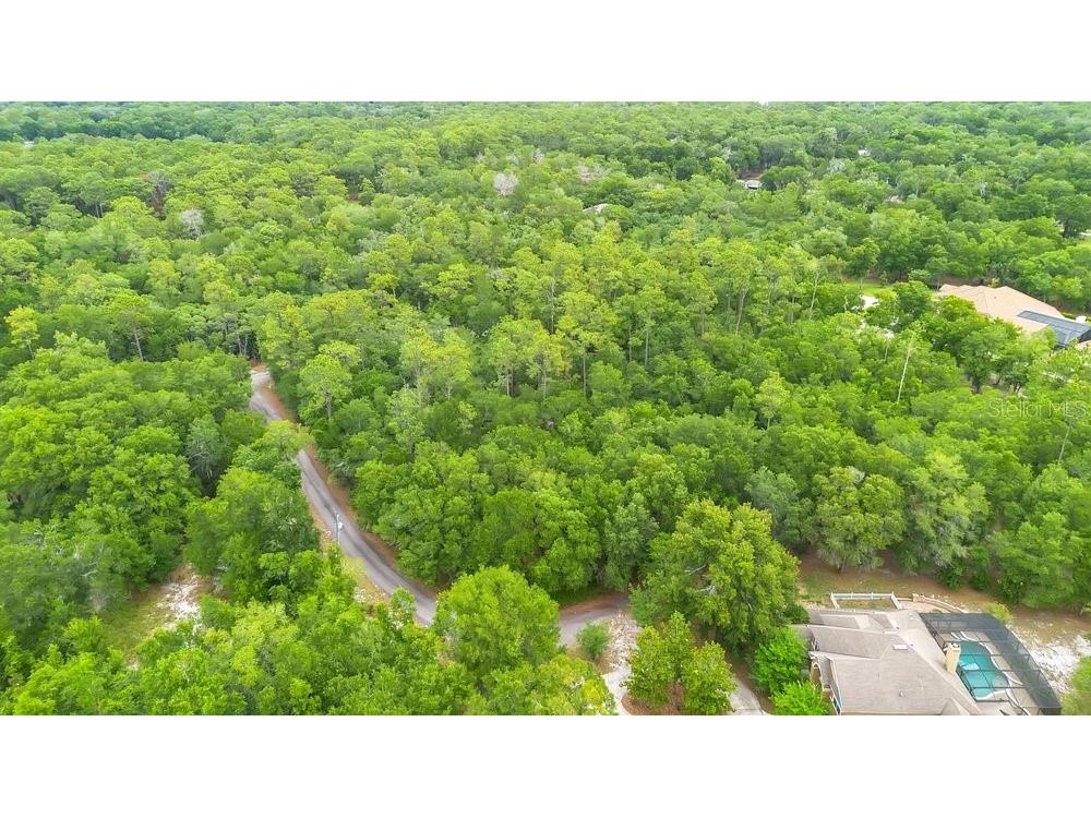 1121 Silver Saddle Trail Deland FL 32724 V4949107 image11