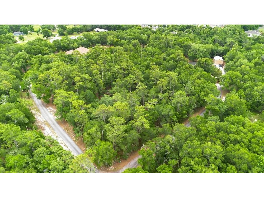 1121 Silver Saddle Trail Deland FL 32724 V4949107 image12
