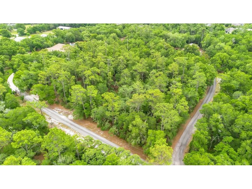 1121 Silver Saddle Trail Deland FL 32724 V4949107 image2