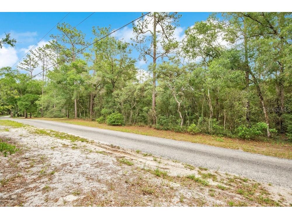 1121 Silver Saddle Trail Deland FL 32724 V4949107 image3