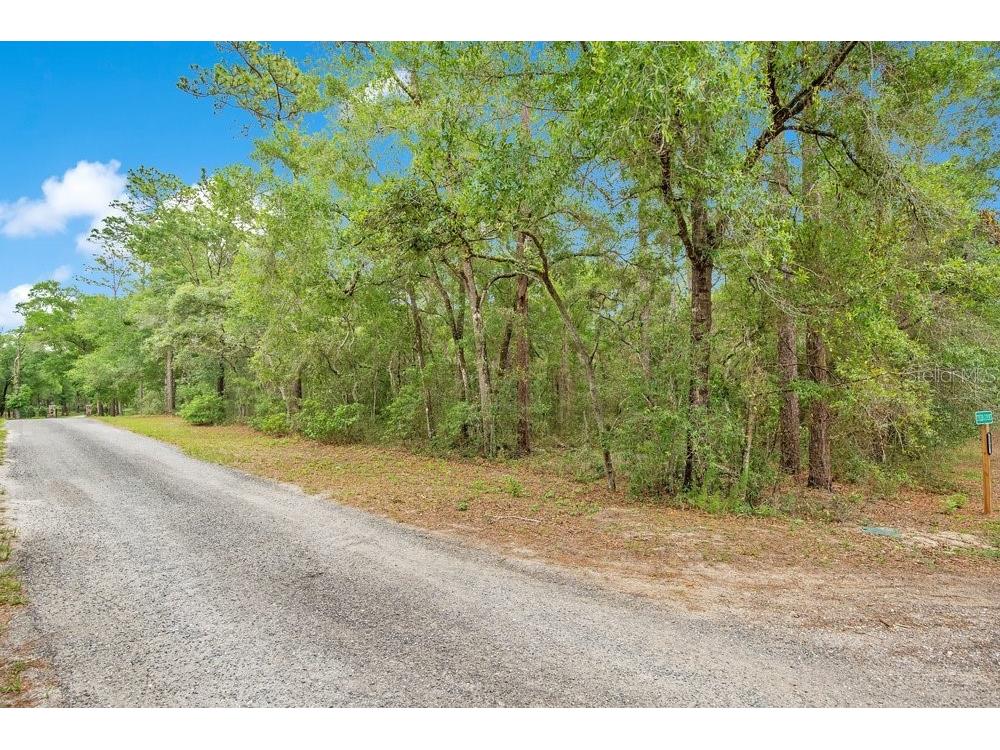 1121 Silver Saddle Trail Deland FL 32724 V4949107 image4