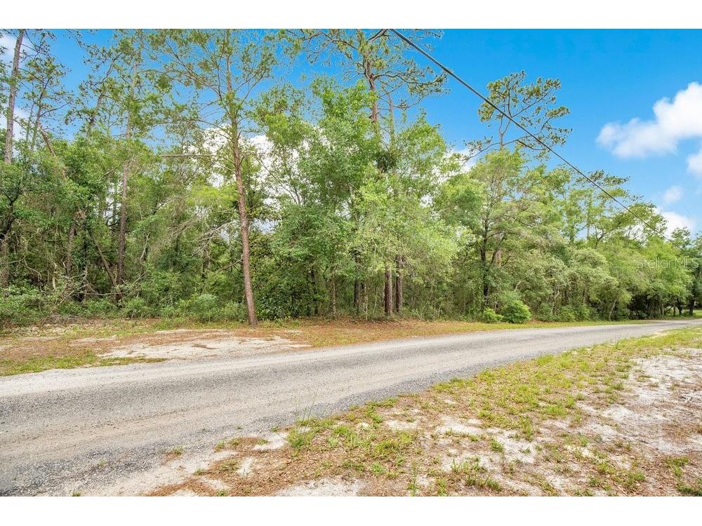 1121 Silver Saddle Trail Deland FL 32724 V4949107 image5