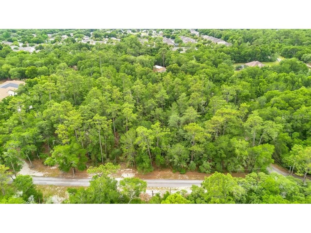 1121 Silver Saddle Trail Deland FL 32724 V4949107 image6