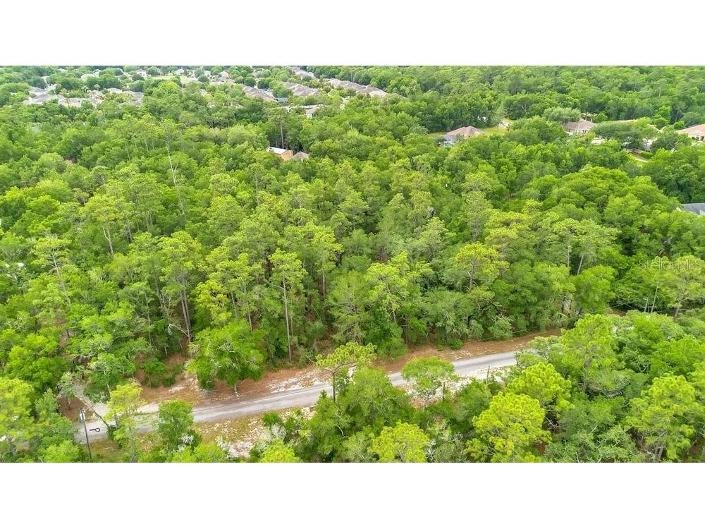 1121 Silver Saddle Trail Deland FL 32724 V4949107 image7