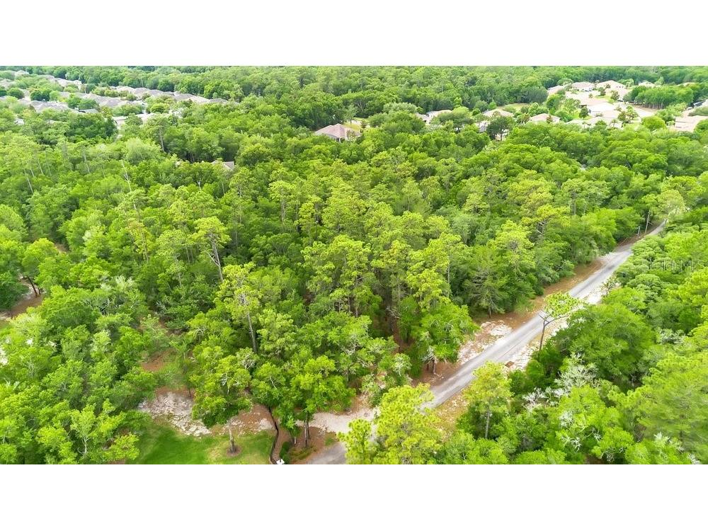 1121 Silver Saddle Trail Deland FL 32724 V4949107 image8