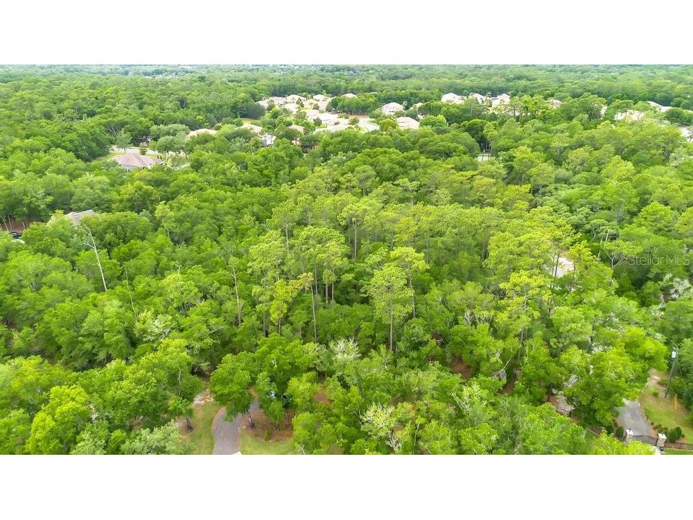 1121 Silver Saddle Trail Deland FL 32724 V4949107 image9