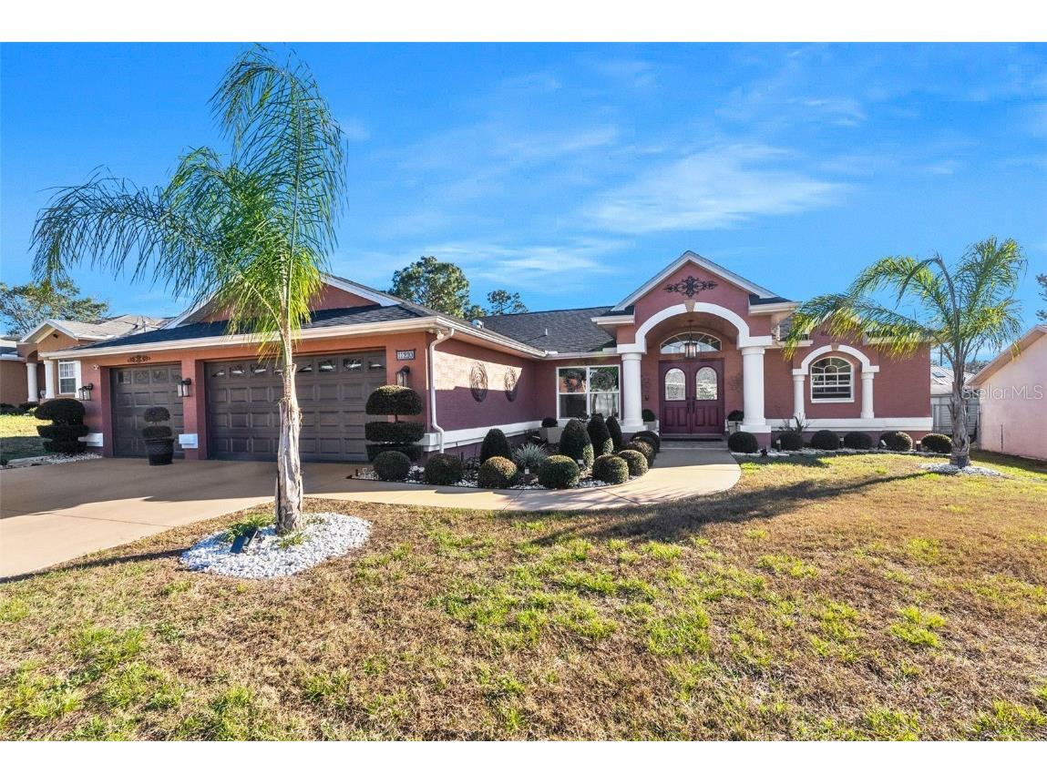 11210 Auburndale Street Spring Hill FL 34609 T3430114 image1