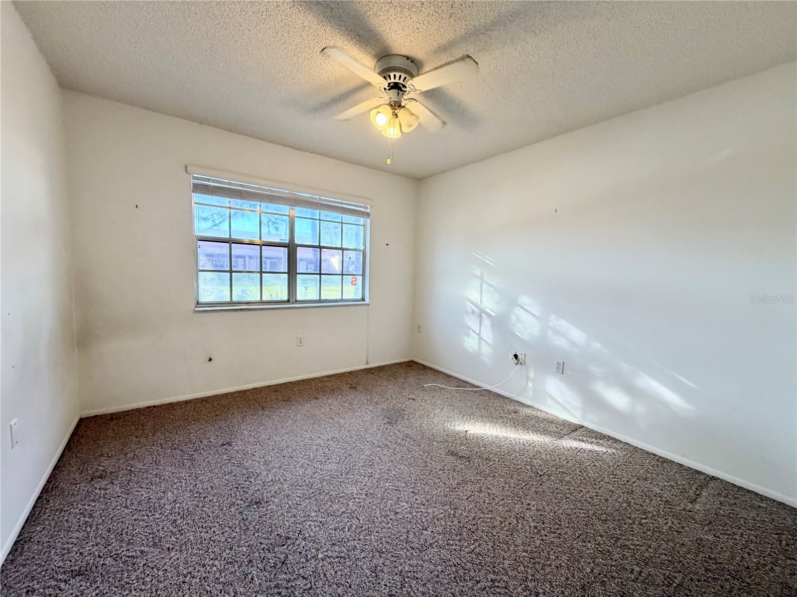 11210 Dollar Lake Drive #2 Port Richey FL 34668 W7883168 image10