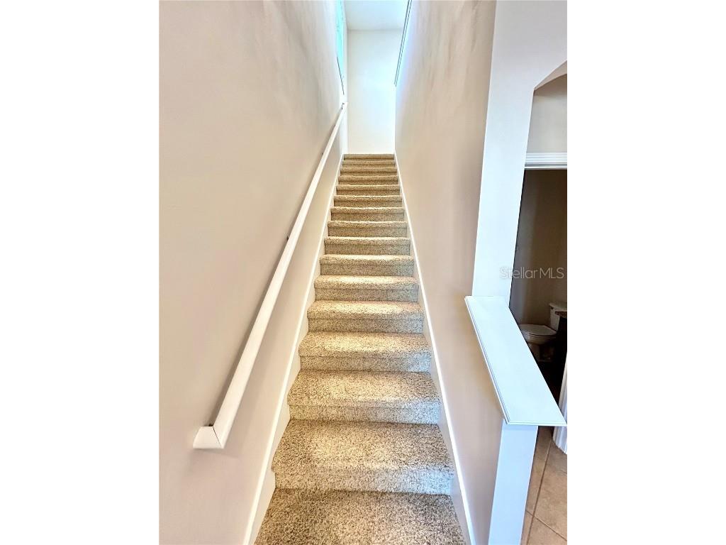 11210 Roseate Drive Tampa FL 33626 O6366287 image13