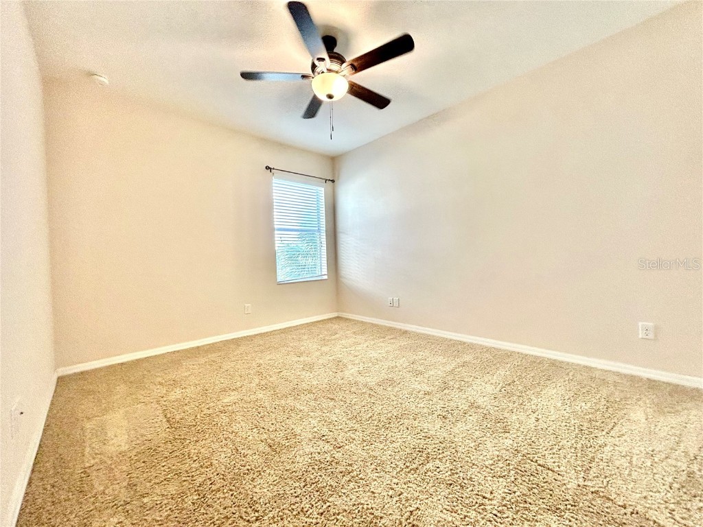 11210 Roseate Drive Tampa FL 33626 O6366287 image27