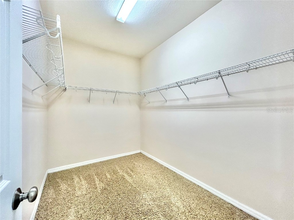 11210 Roseate Drive Tampa FL 33626 O6366287 image37