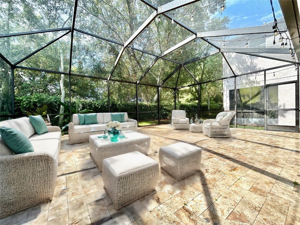 11210 Roseate Drive Tampa FL 33626 O6366287 image39