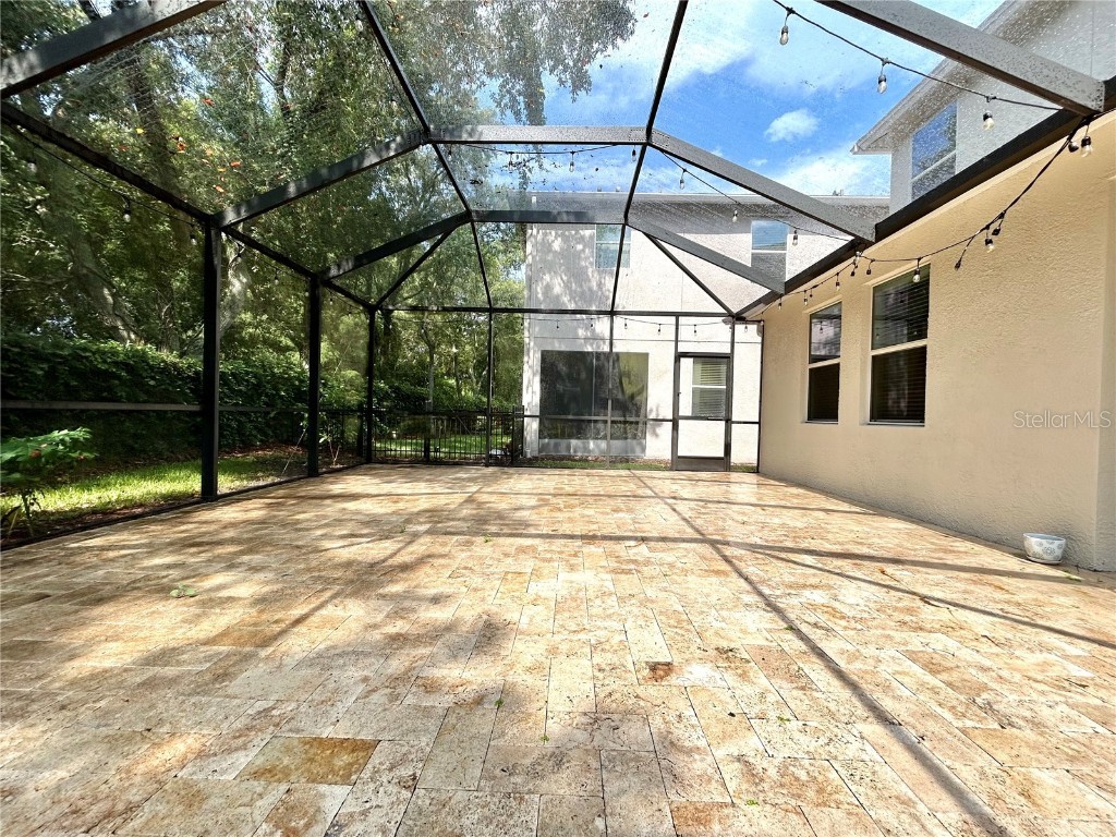 11210 Roseate Drive Tampa FL 33626 O6366287 image41