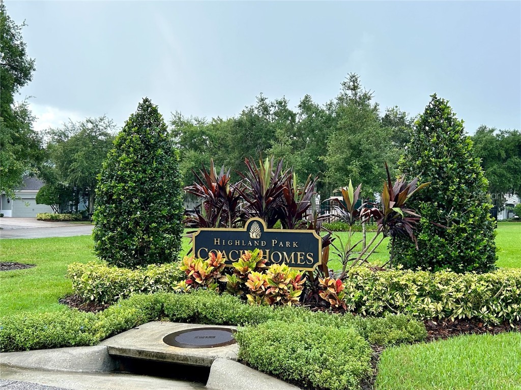 11210 Roseate Drive Tampa FL 33626 O6366287 image43