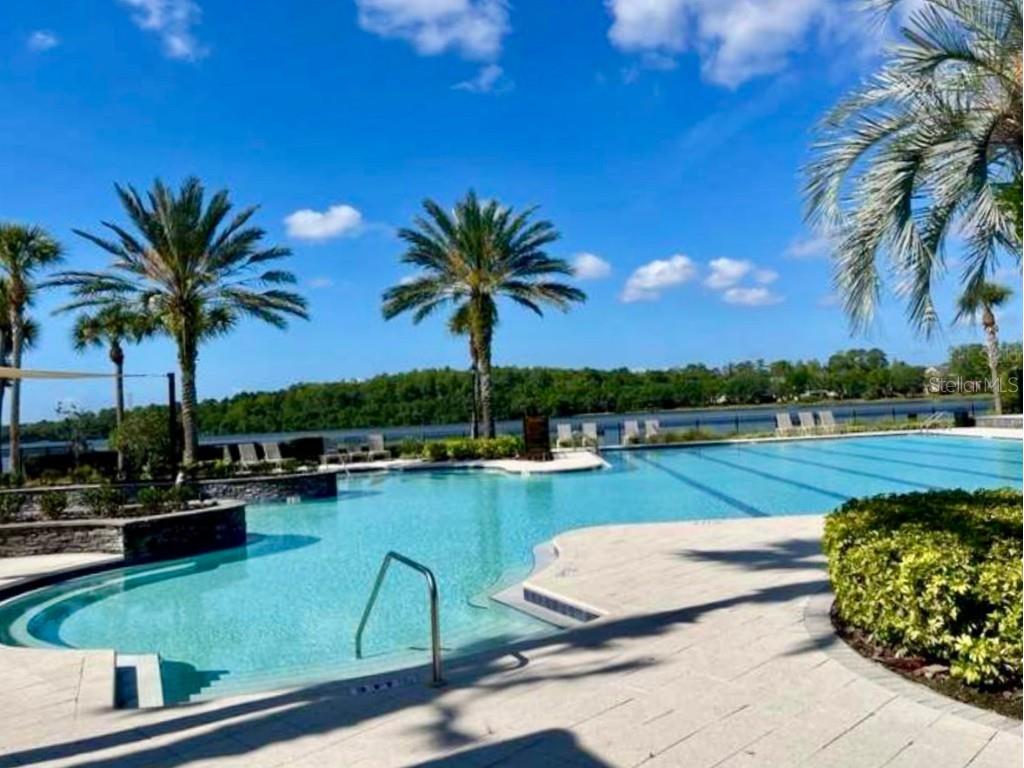 11210 Roseate Drive Tampa FL 33626 O6366287 image44