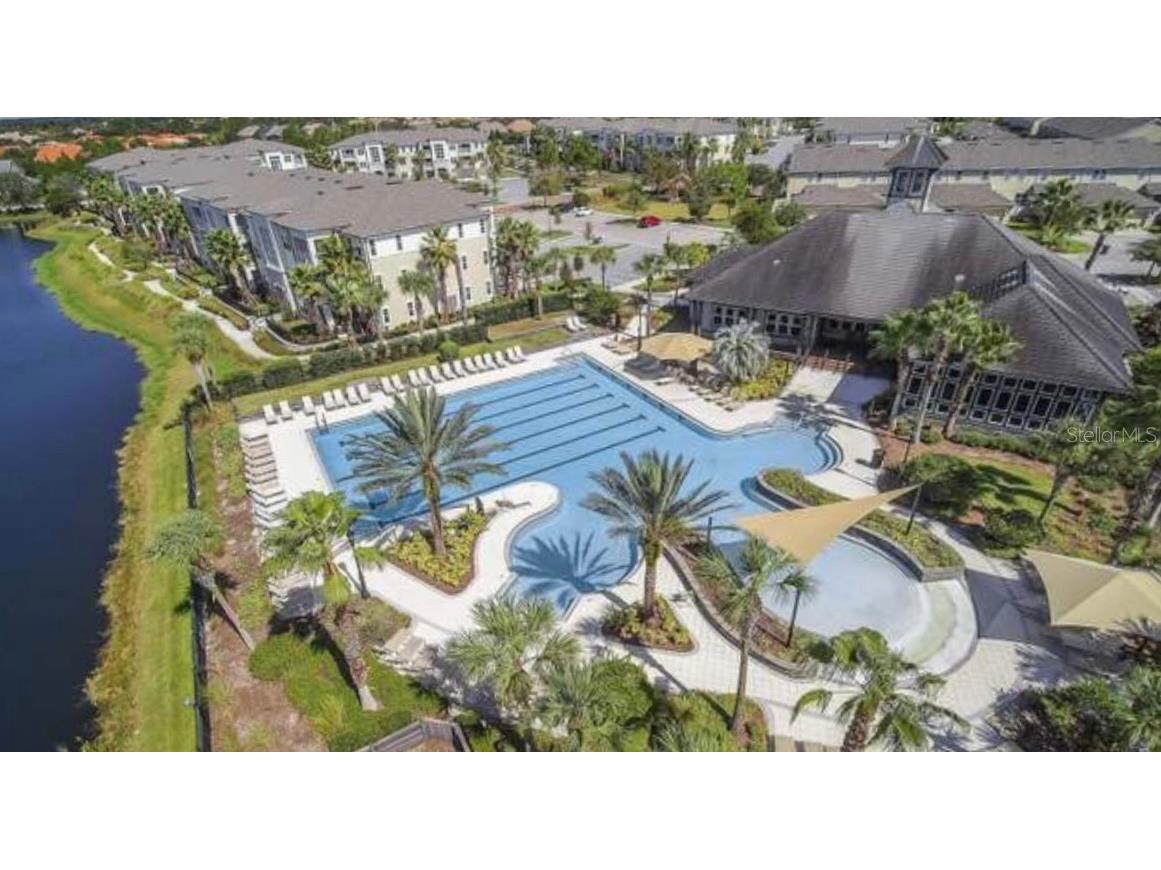 11210 Roseate Drive Tampa FL 33626 O6366287 image45