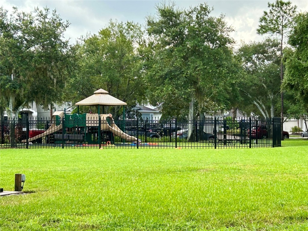 11210 Roseate Drive Tampa FL 33626 O6366287 image47