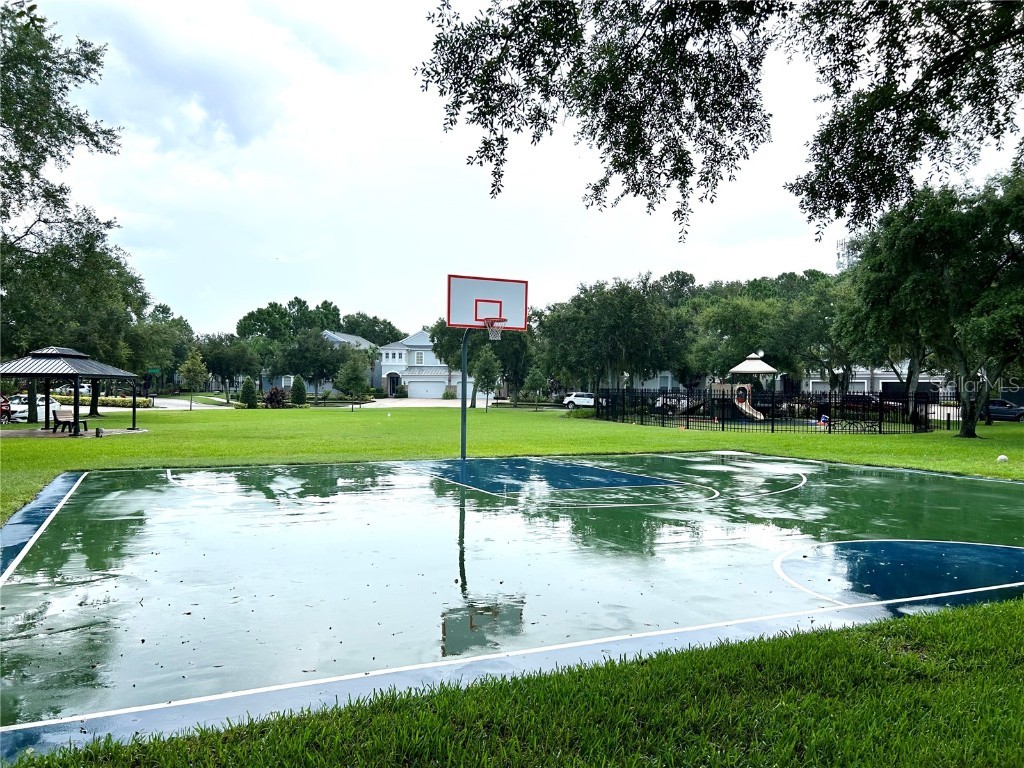 11210 Roseate Drive Tampa FL 33626 O6366287 image50