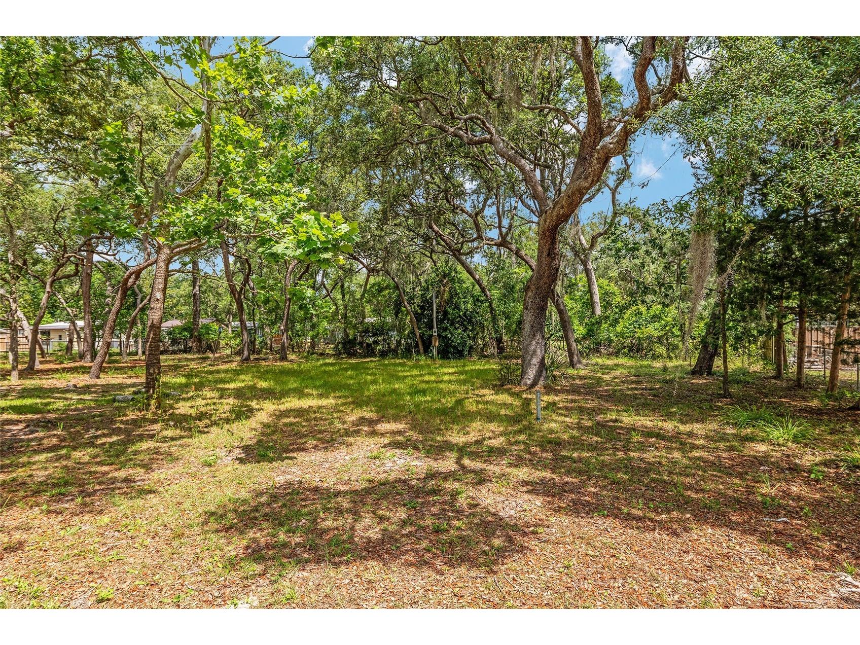 11211 NW 113th Place Chiefland FL 32626 W7886038 image3